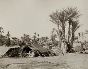 Levant: Bedouin camp, Biskra, Algeria