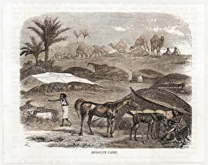 Herdsman: Bedouin camp in the desert