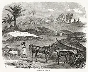 Nomads: Bedouin camp in the desert