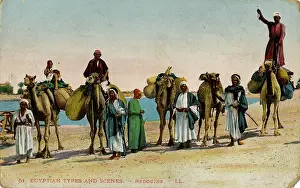 Bedouins: Bedouins and camels in the desert, Egypt