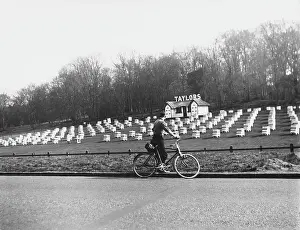 Taylors: BEE HIVES NEAR WELWYN