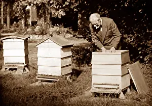 Hive: A bee keeper, early 1900s