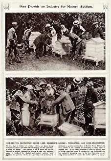 Kilmarnock: Bee keeping as an industry for wounded soldiers