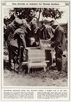 Kilmarnock: Bee keeping as an industry for wounded soldiers
