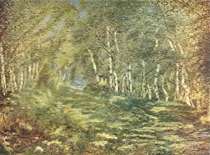 Adriaan: Beech Avenue