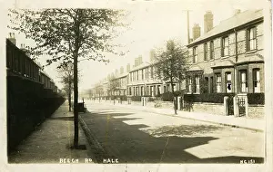 Hale: Beech Road