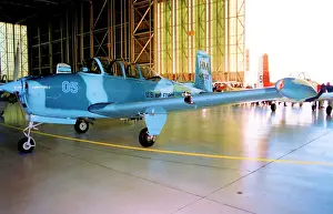 Mentor: Beech T-34B Mentor N134SM