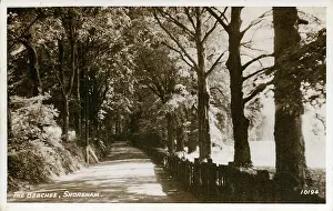 Sevenoaks: The Beeches, Shoreham, Kent