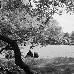 Beechwood: Beechwood, Hampstead