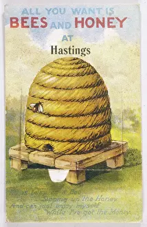 Beehives: Beehive - Bee - Honey 1926