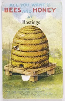 Beehives: Beehive - Bee - Honey 1926