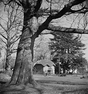Hipped: Beehive Cottage