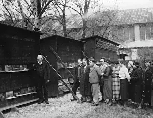 Beehives: Beehives of the beekeeper Austrian school