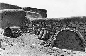 Beehive: Beehives in the Holy Land