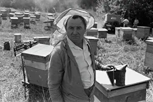 Beekeeper: Beekeeper