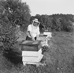 Beekeeper: Beekeeper, Shropshire