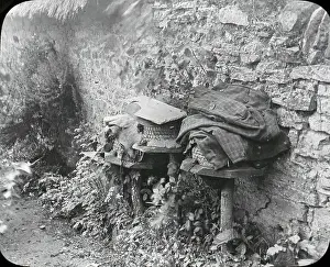 Slovenly: Beekeeping Lantern Slide series