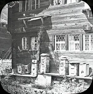 Hives: Beekeeping Lantern Slide series