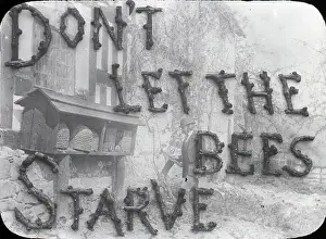 Starve: Beekeeping Lantern Slide series