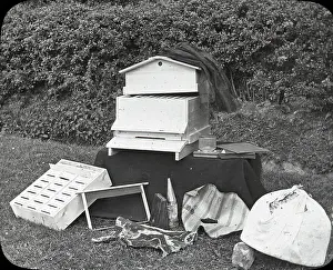 Beekeeping: Beekeeping Lantern Slide series