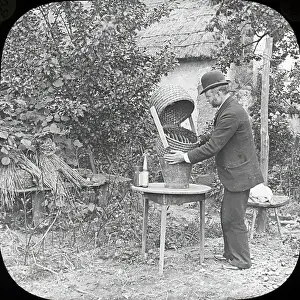 Beekeeping: Beekeeping Lantern Slide series