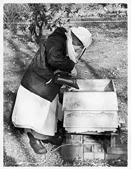 Hives: Beekeeping nun, Poor Clares Convent