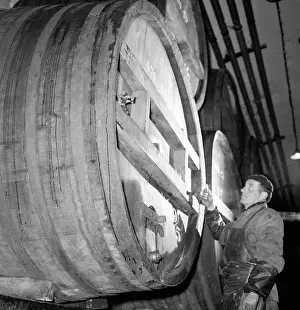 Finda: Beer barrels - beer brewery - Budweis