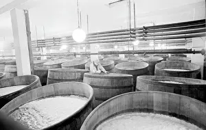 Hopps: Beer brewery - malt - hops - aging