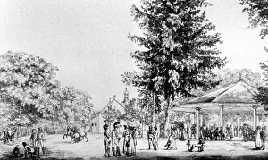 Biedermeier: Beer Garden in Grosshesselohe