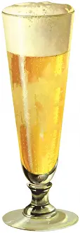 Pilsner: Beer in Pilsner Glass