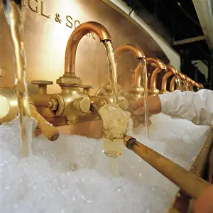 Ottakringer: Beer production in the Ottakringer Brewery