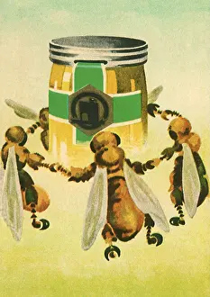 Bees: Bees Dance Round Honey