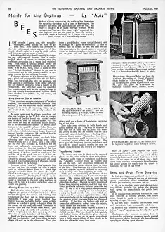 Beekeeping: Bees, mainly for the beginner, 1941
