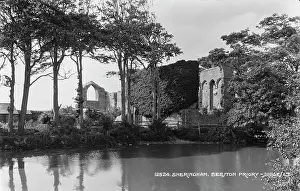 Arched: Beeston Priory Ruins