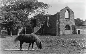 Arched: Beeston Priory Ruins