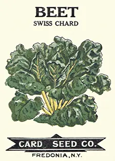 Beet: Beet Seed Packet