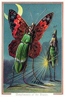 Fireflies: Two beetles and a butterfly on a Christmas card