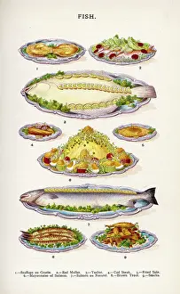 Beeton: Beeton Fish