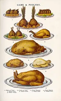 Beeton: Beeton Game and Poultry