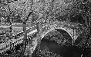 Glaisdale: Beggars Bridge, Glaisdale, Victorian period