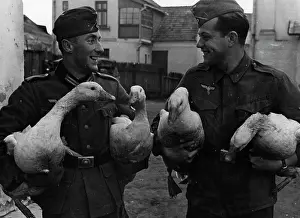 Plunder: Beginning of the attack on 01.09.1939, German soldiers with
