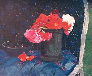 Jefferys: The Begonias