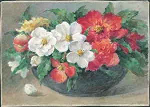 Begonias: Begonias'. Flowers in vase