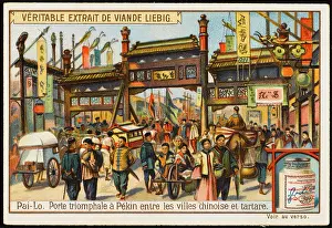 Tartar: BEIJING 2 (LIEBIG)