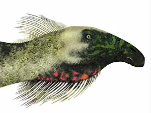 Therizinosaur: Beipiaosaurus dinosaur head