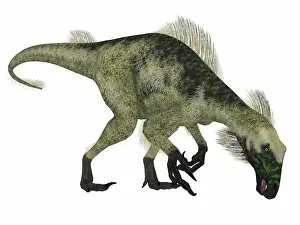 Therizinosaur: Beipiaosaurus dinosaur, side profile
