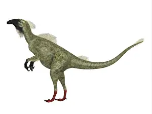 Therizinosaur: Beipiaosaurus dinosaur, sie view on white background
