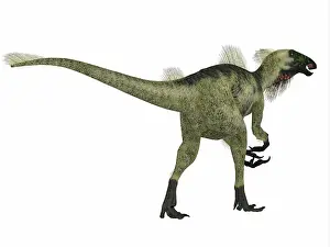 Therizinosaur: Beipiaosaurus dinosaur on white background