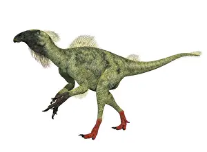 Talon: Beipiaosaurus feathered walking dinosaur