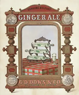 Rack: Belfast Ginger Ale